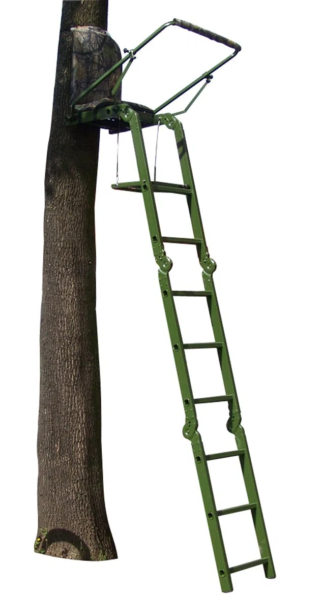 Berger & Schröter ANsitz Escaleras Plegables, 31587