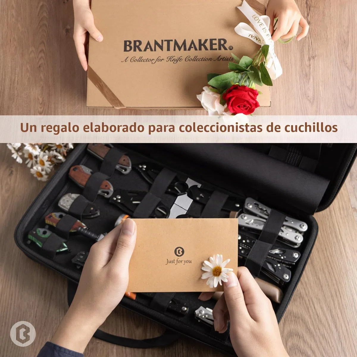 BRANTMAKER Estuche Expositor de Cuchillos para Más de 61 Unidades, con Correa de Hombro Portátil - Almacenamiento de Colección (Solo)