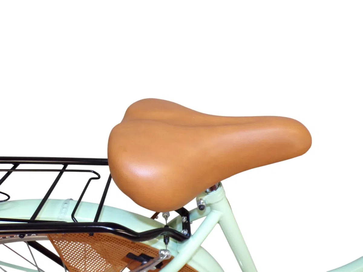 Bicicleta de paseo holandesa para mujer, de ciudad, de 26 pulgadas, vintage, con cesta de acero