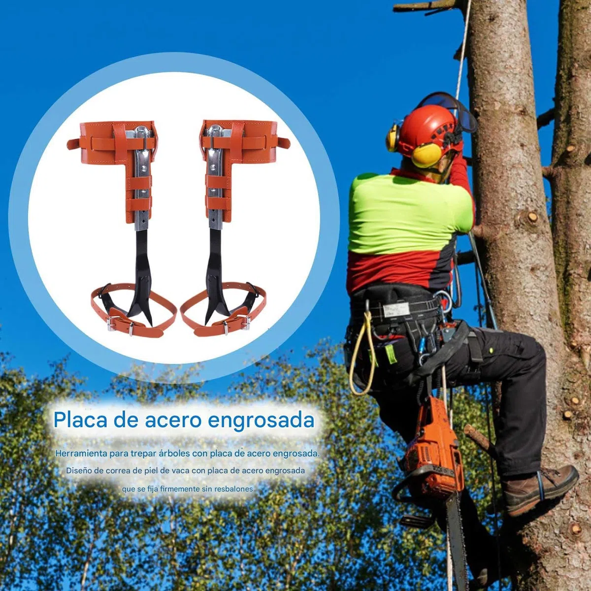 Equipo Para Escalar Árboles | Equipo para Escalada de Árboles y Actividades al Aire Libre,Ergonómico Altura Ajustable Accesorio De Recreación Al Aire Libre Para La Poda El Corte La Gestión De