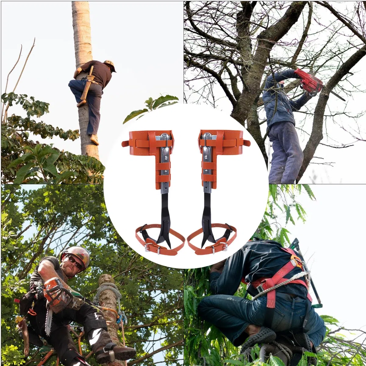 Equipo Para Escalar Árboles | Equipo para Escalada de Árboles y Actividades al Aire Libre,Ergonómico Altura Ajustable Accesorio De Recreación Al Aire Libre Para La Poda El Corte La Gestión De