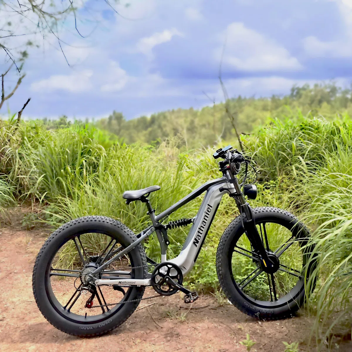 Nathaniel SYR09 Adult Electric Bike, Dual Motor,26 * 4.0Fat Tires,48V20Ah, All Terrain Off-Road E-Bike