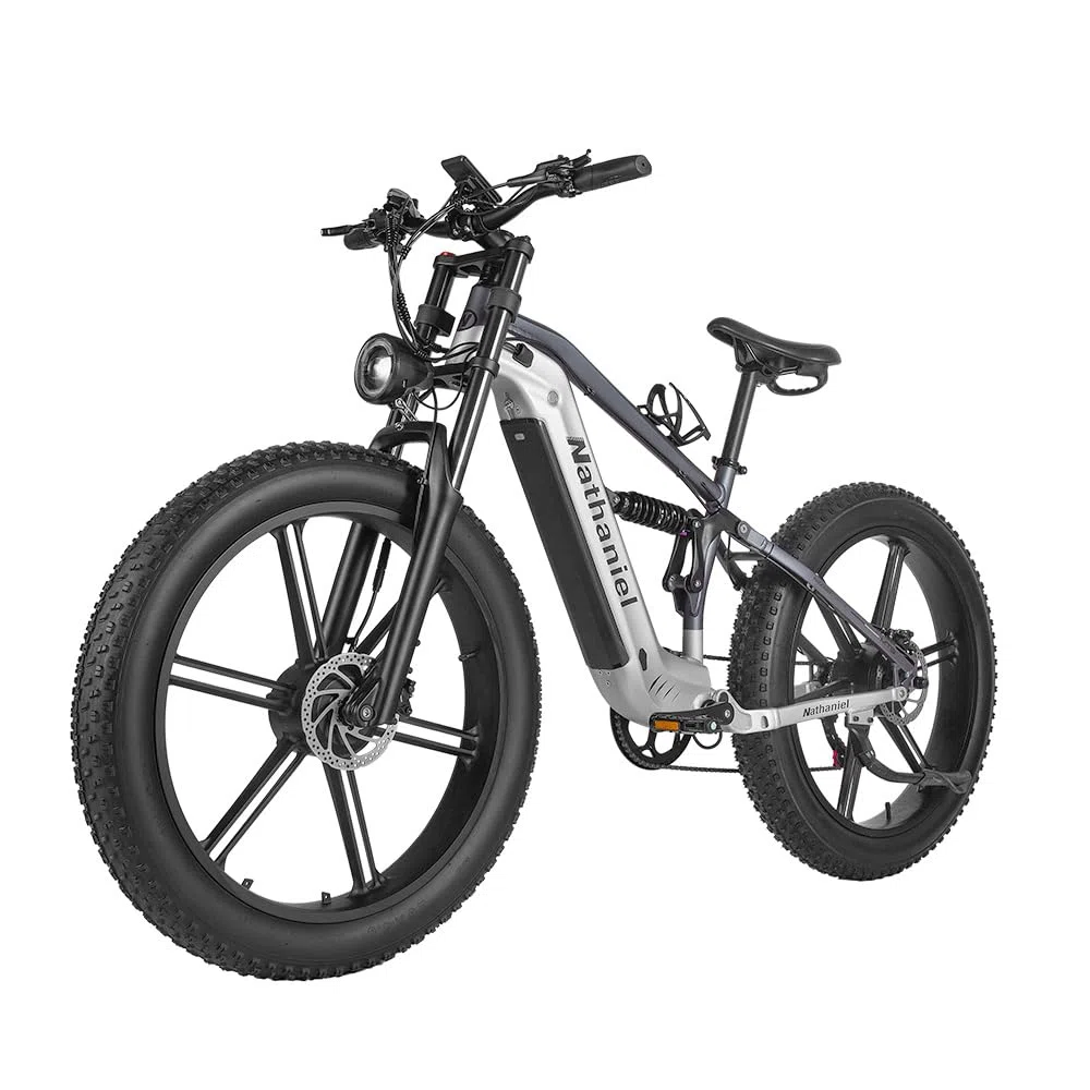 Nathaniel SYR09 Adult Electric Bike, Dual Motor,26 * 4.0Fat Tires,48V20Ah, All Terrain Off-Road E-Bike