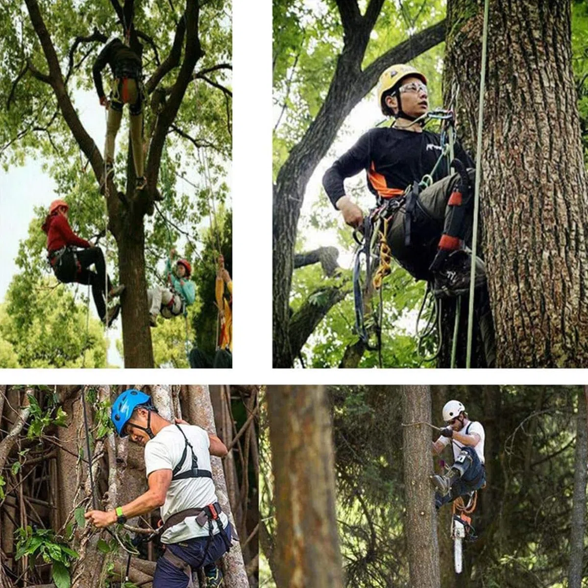 Juego de equipo de escalada en barra, juego de equipo de escalada de árboles, puntas de árbol ajustables, herramientas de trabajo para árboles, equipo de escalada con antideslizante para actividades