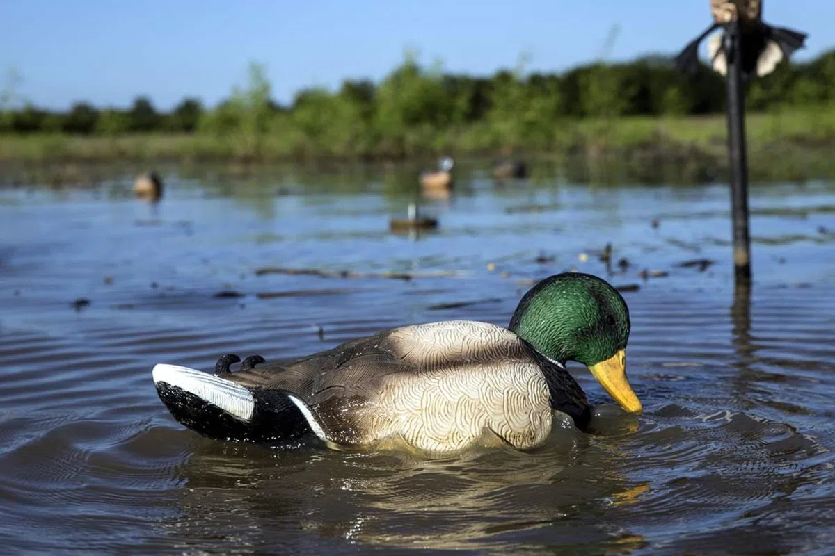 Mojo Outdoors Duck Hunting Motion Decoys