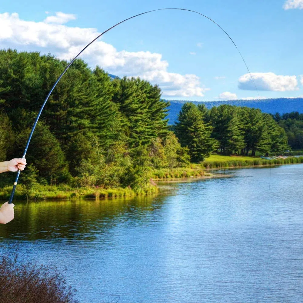 Goture - Caña de pescar para la pesca de carpa, de fibra de carbono, ultraligera, telescópica (3 m)