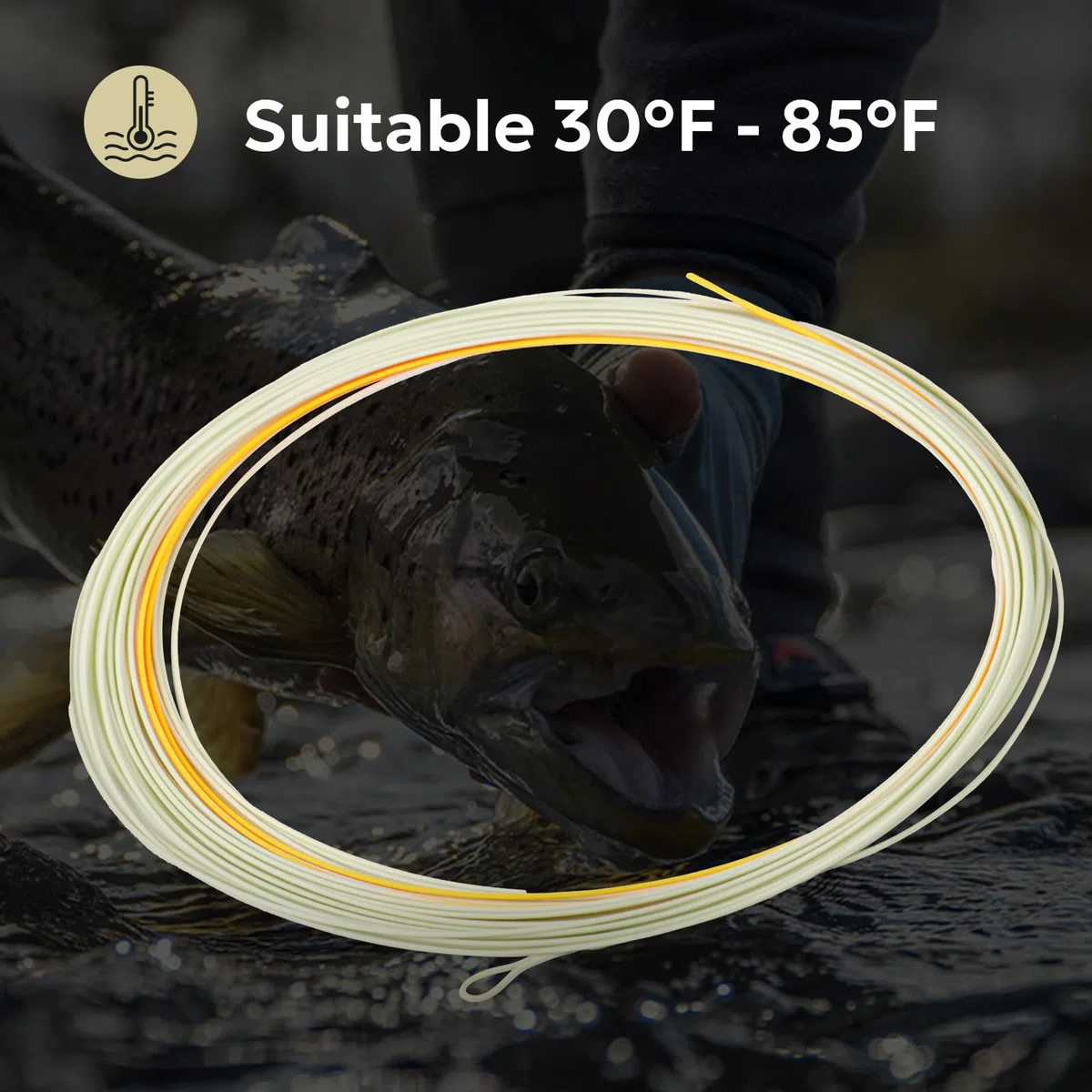 SF Línea de Pesca con Mosca Flotante Euro Nymph Level Line de 0,55 mm con 2 bucles Soldados, 25 pies/7,6 m, 85 pies/25,9 m