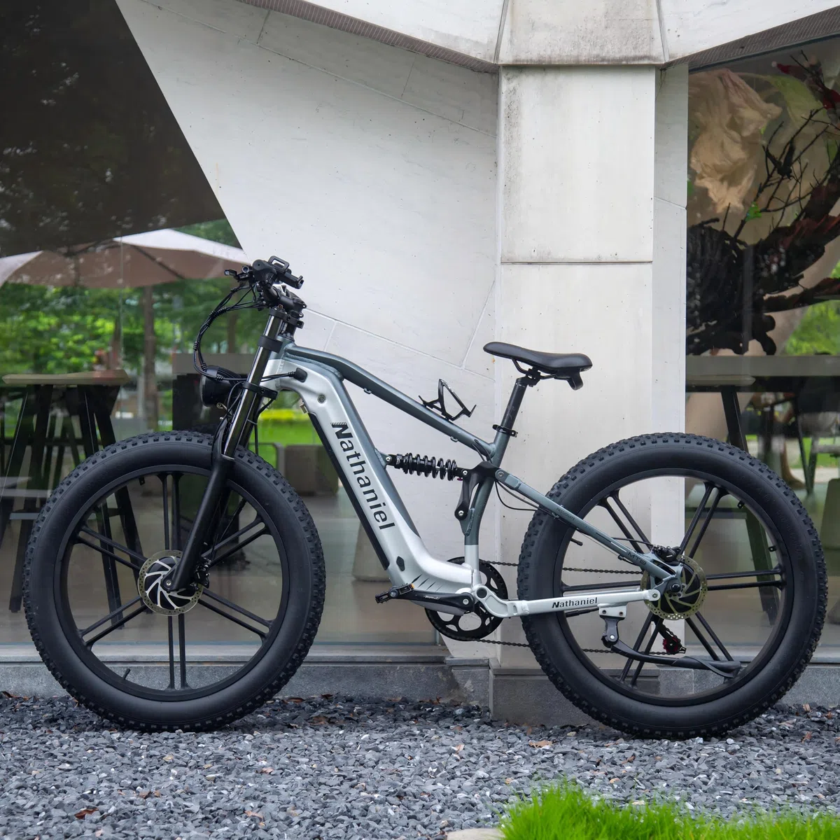 Nathaniel SYR09 Adult Electric Bike, Dual Motor,26 * 4.0Fat Tires,48V20Ah, All Terrain Off-Road E-Bike