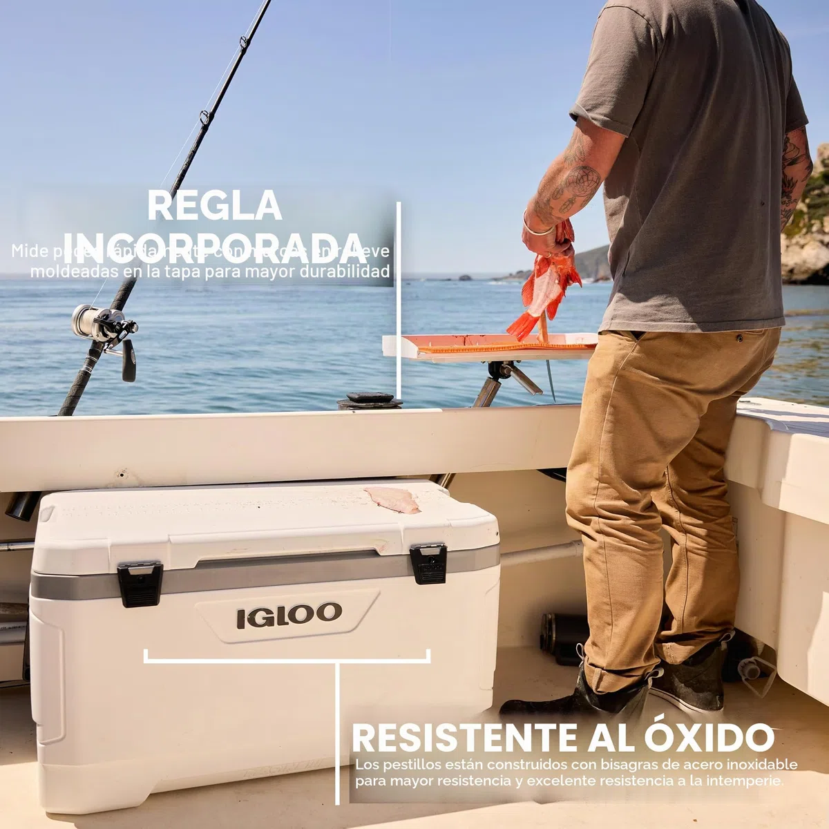 Igloo – 44683 Marine Ultra 54 Cooler, 78-Can, Color Blanco
