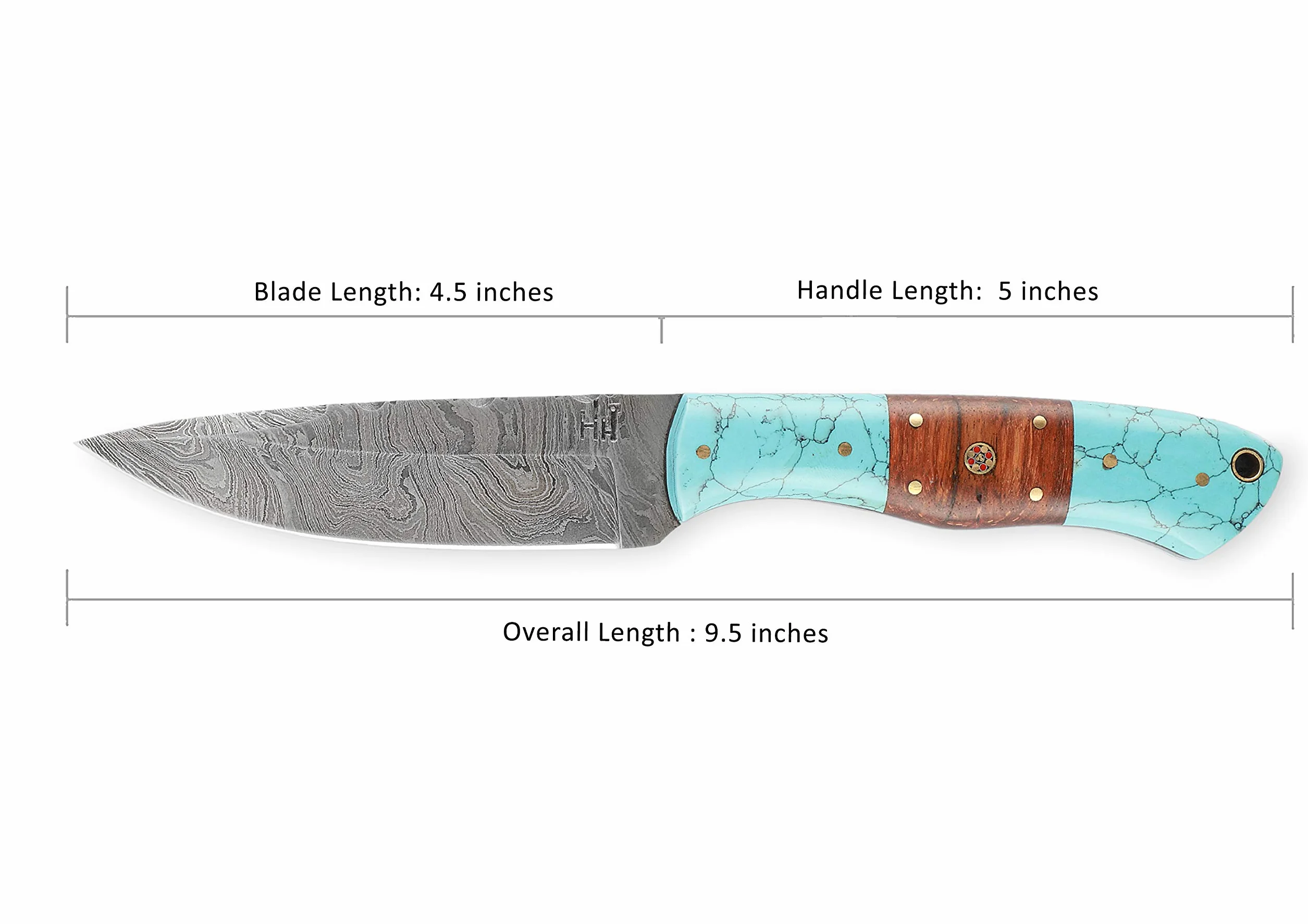 Hobby Hut HH-409, Cuchillo de Acero de Damasco Bushcraft Hecho a Mano de 9.5 Pulgadas | Cuchillo de Caza, Mango de Madera y Turquesa | Funda de Cuero | Espiga Completa, Hoja Fija