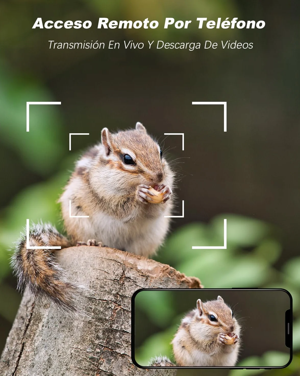 Xega 4G Camara De Caza Solar con Tarjeta SIM, 2K 3MP Exterior Fototrampeo Inalámbrica PTZ con Visión Nocturna Detección Personalizada Proyector/Sirena Alertas en App y Almacenamiento TF/Nube(Sin WiFi)